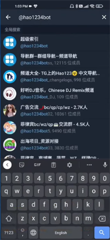 TG纸飞机官网入口,纸飞机testflight