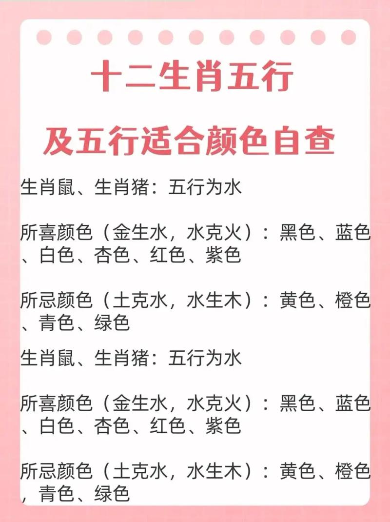 今期生肖六六来是什么生肖,2026年是什么生肖年五行属什么