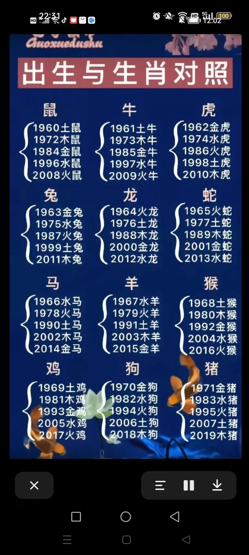 今期出码三六九是什么生肖和数字,本期出码三六九打一数字