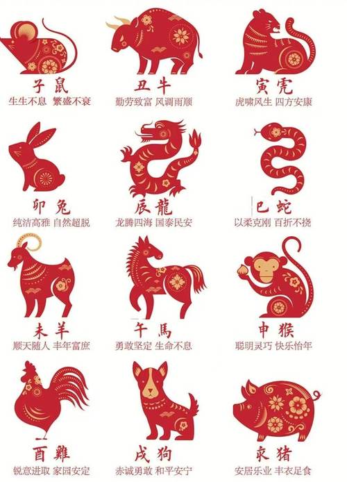 今期一定开金花是指哪个生肖,今期生肖开金花是什么数字