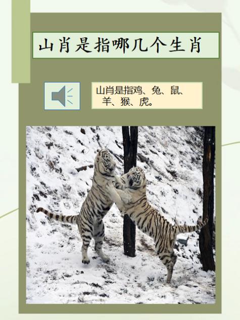 今期生肖出山林是什么生肖,今期生肖出山林是什么生肖呢