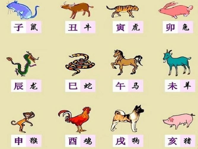 今期生肖与家有关是什么,今期生肖与家有关是什么生肖