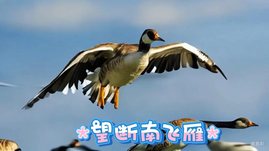包含“大雁南飞择木栖”打一个生肖动物的词条