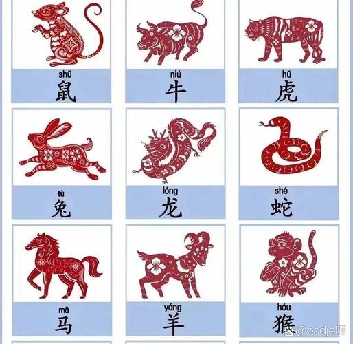 今期生肖九字头是什么生肖,今期生肖九字头是什么生肖动物