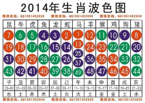 生肖猜码分析,猜生肖大全及答案