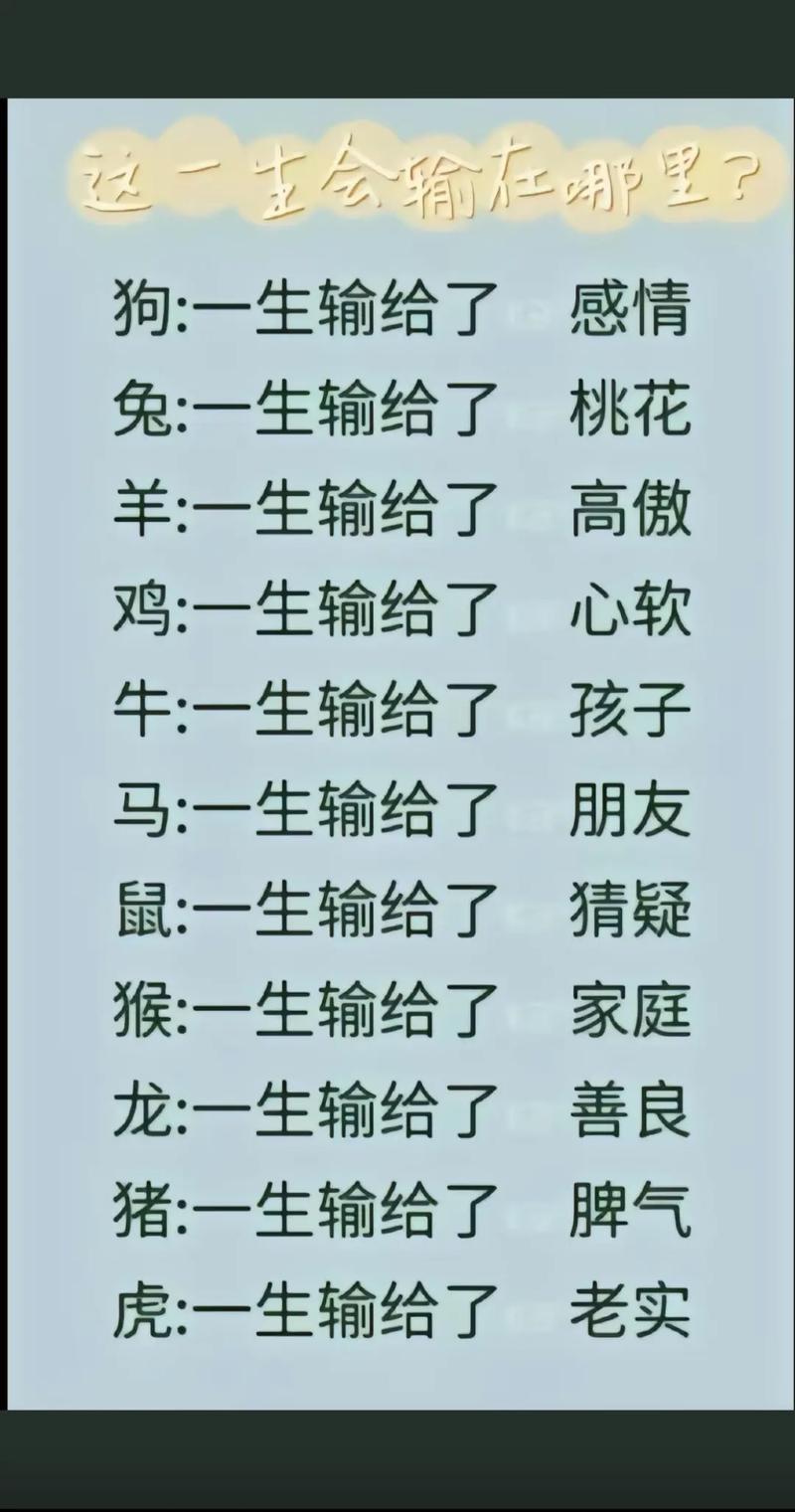 今期生肖看肥瘦是什么生肖,微信扫一扫怎么添加到桌面上