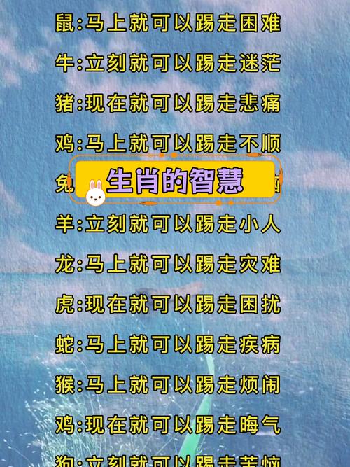 连锁反应解什么生肖,连锁反应解释一下打个生肖