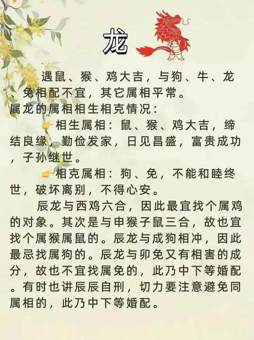 什么生肖对老婆最好,12生肖哪个属相对老婆好