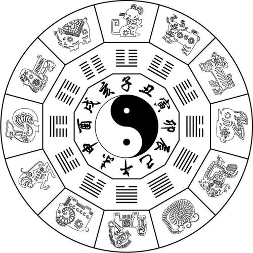 今期生肖九字开打一个正确生肖,生肖八卦图解全图大全