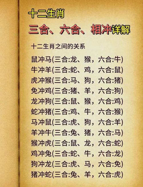 属水生肖是什么生肖,属水生肖是什么生肖呢