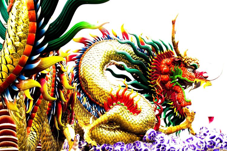 今期生肖出龙门的动物是什么,今期动物要开龙指什么生肖