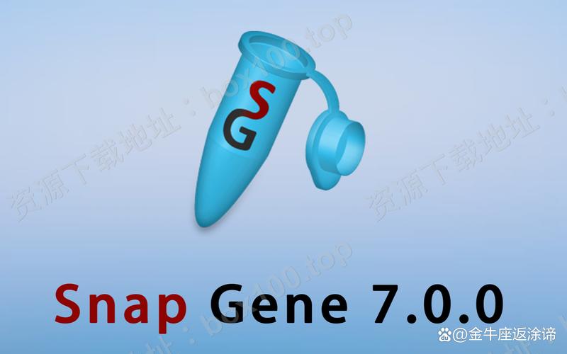 snapchat怎么读音发音,snap怎么读音发音英语怎么说