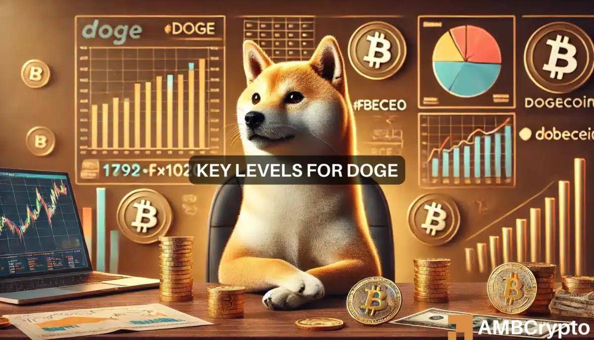 狗币今日行情美元,狗狗币今日行情价格美元