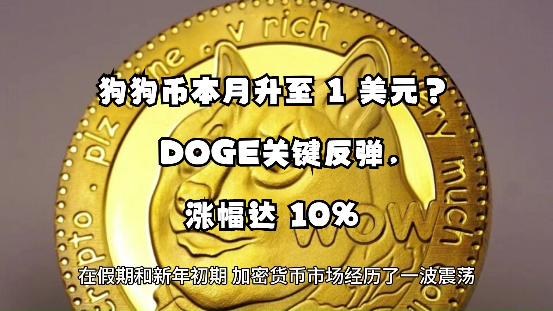 狗币今日行情美元,狗狗币今日行情价格美元