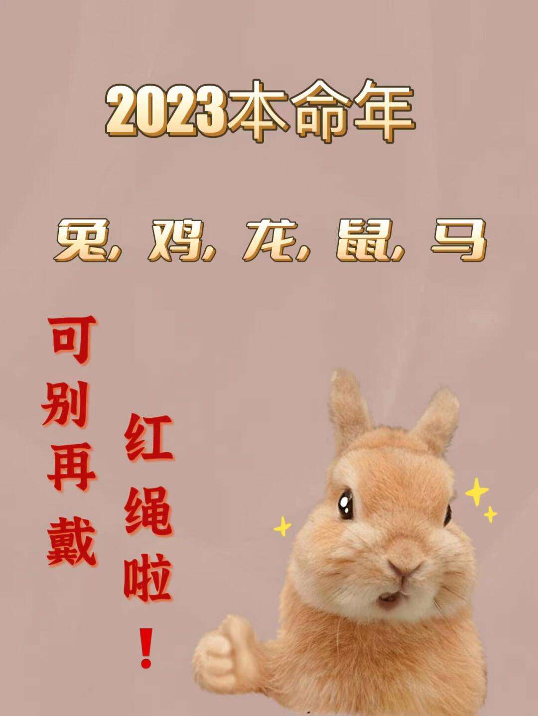 今期六字出玄机最佳准确生肖,今期六字出玄机,特数出此不为奇是什么生肖