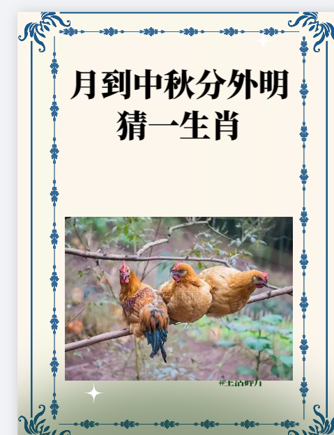 正确答案是什么生肖图,什么是正确答案作文300字